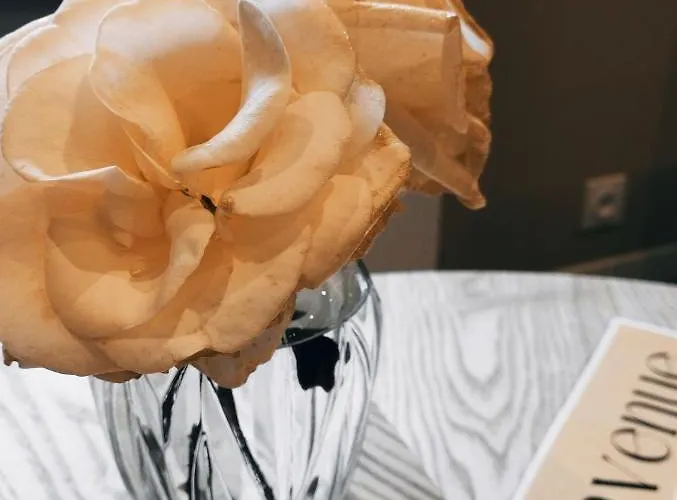 Hébergement de vacances Jolie Maison Au Calme Et Proche Avec En Option